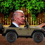 Biden Weelie